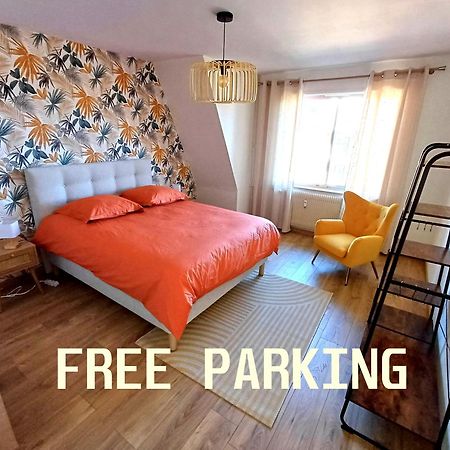 Confortable Spacieux Grand Rue - Garage Saverne Kültér fotó